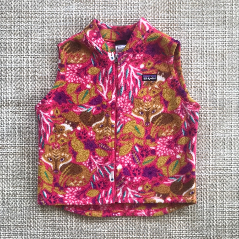Patagonia Fleece Vest (size 5T)